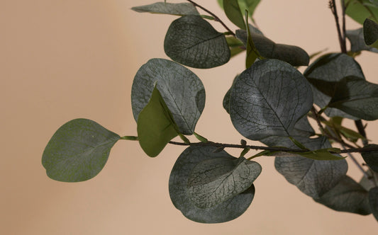 Kunstboom eucalyptus: de perfecte groene touch voor elk interieur