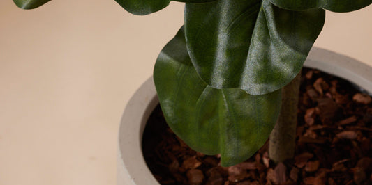 Kunstplant Ficus Lyrata: stijlvol, imposant en onderhoudsvrij