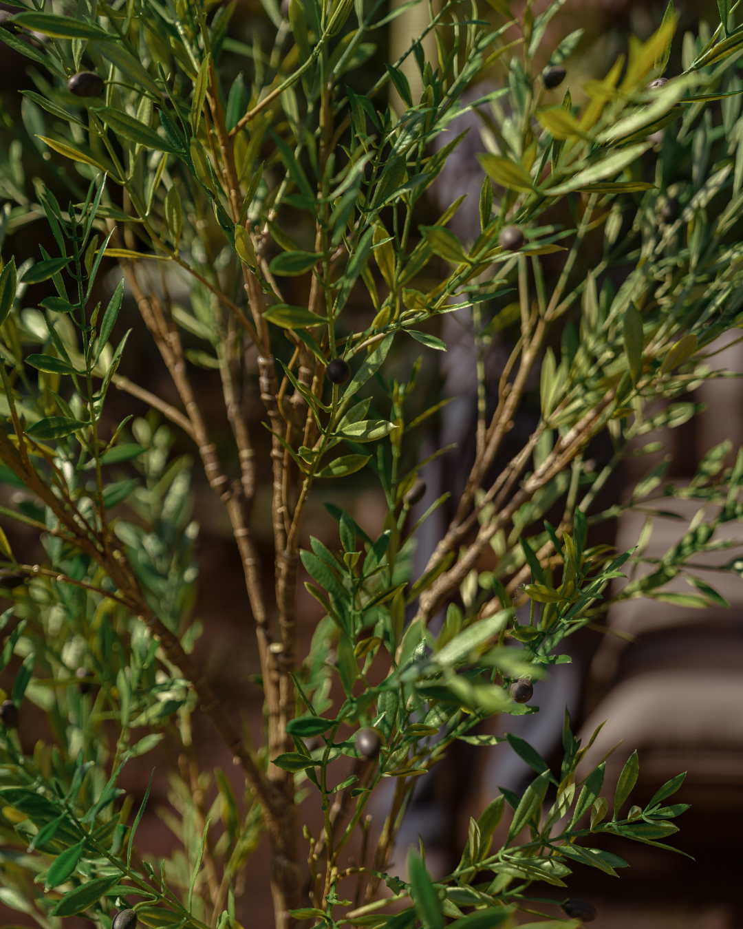 Kunstbaum Olive Outdoor 175 cm