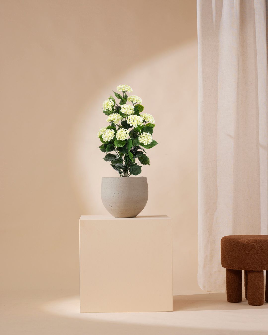 Hortensie weiß Outdoor 90 cm