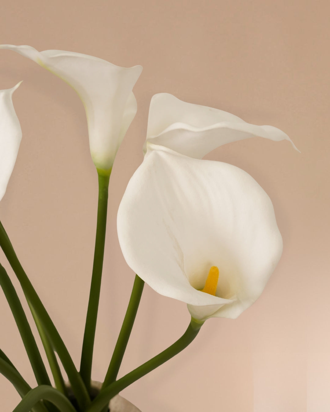 Neun Callas 70 cm