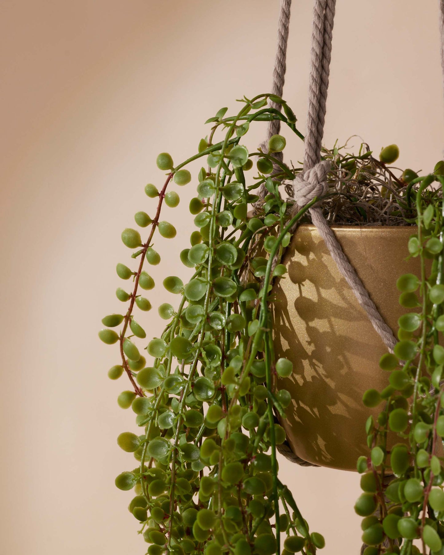 Kunstplant Ficus pumila 50 cm in pot - RHODÉ