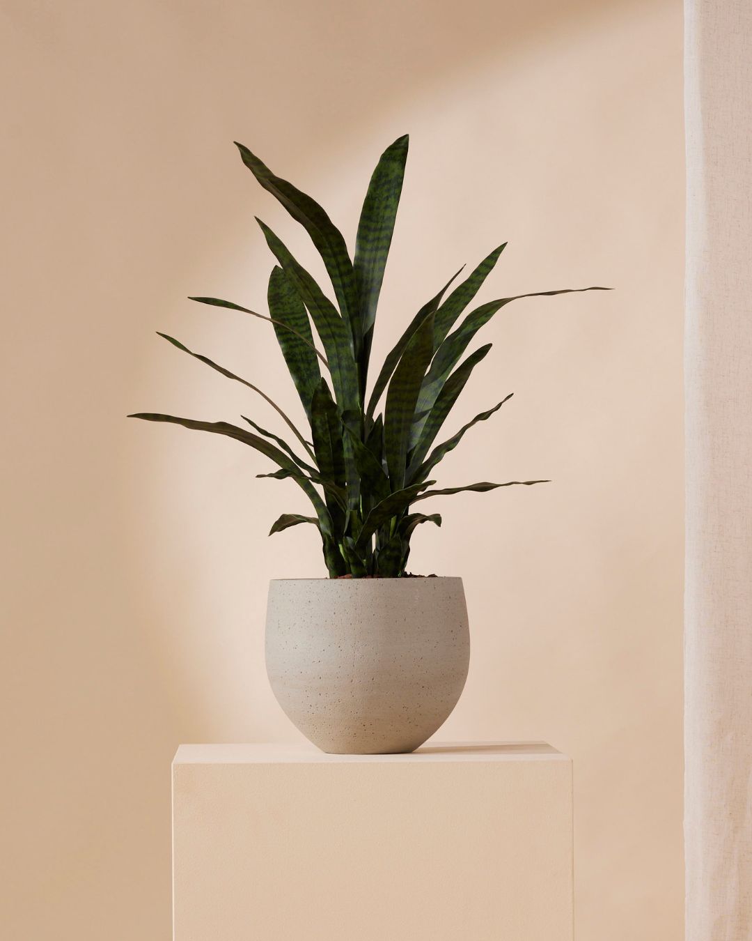 Kunstplant Sanseveria 97 cm