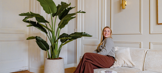De 5 populairste kunstbomen voor de woonkamer