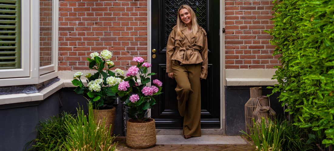 Hortensia's: alles over deze populaire bloem én het perfecte alternatief