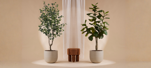 Ficus Lyrata of Eucalyptus? Ontdek welke kunstboom het beste bij jouw interieur past
