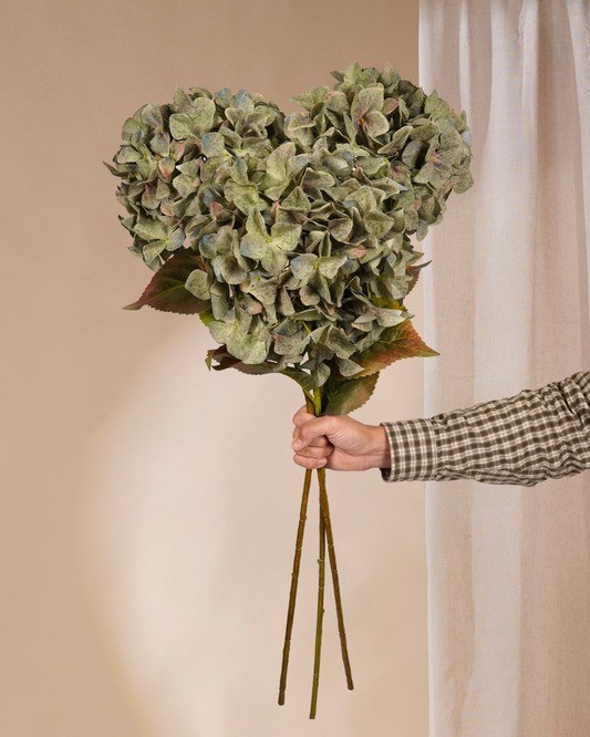 Drie groene Hortensia's 90 cm