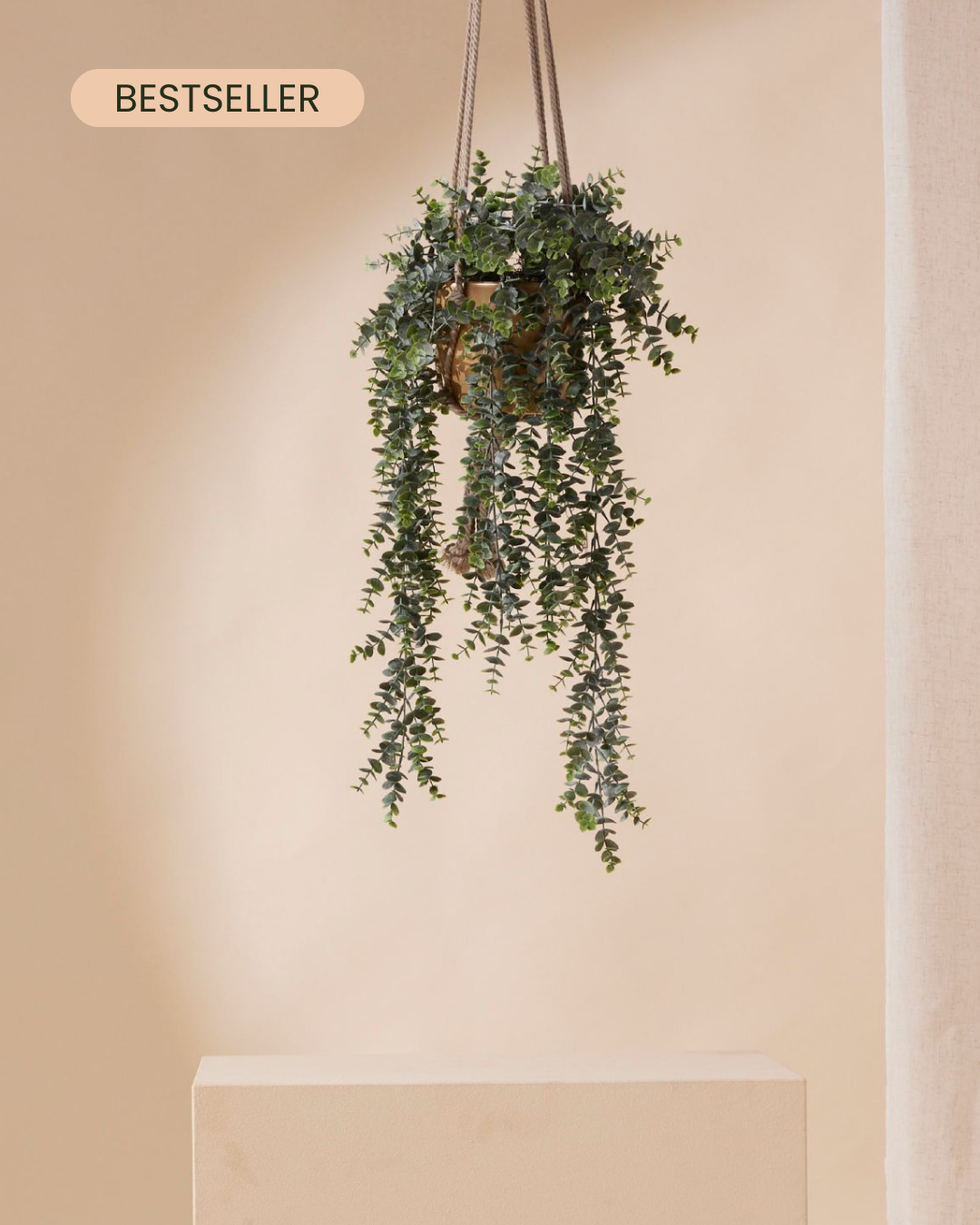Kunstpflanze Eukalyptus 70 cm im Topf