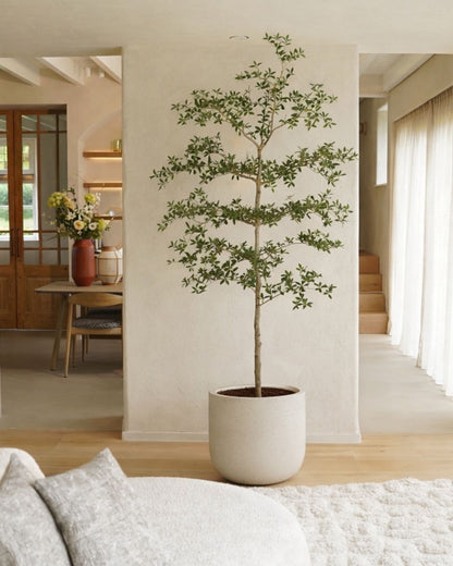 Kunstbaum Bucida 210 cm