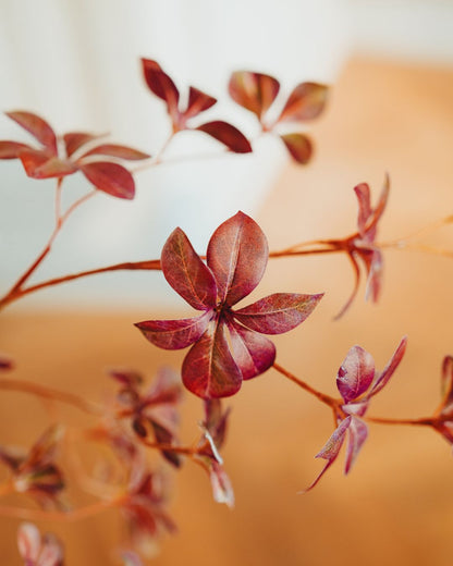 Kunstbaum Tropaeolum Burgundy 210 cm