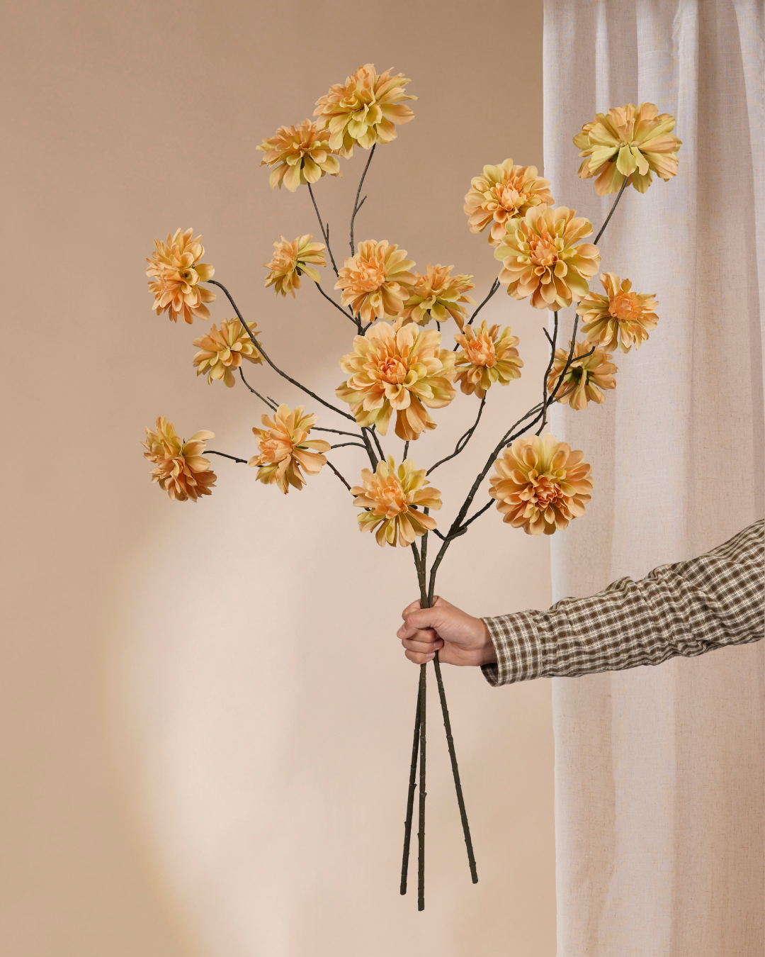 Drie Dahlia's peach 110 cm