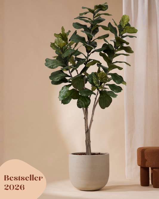 Kunstplant Ficus lyrata 210 cm