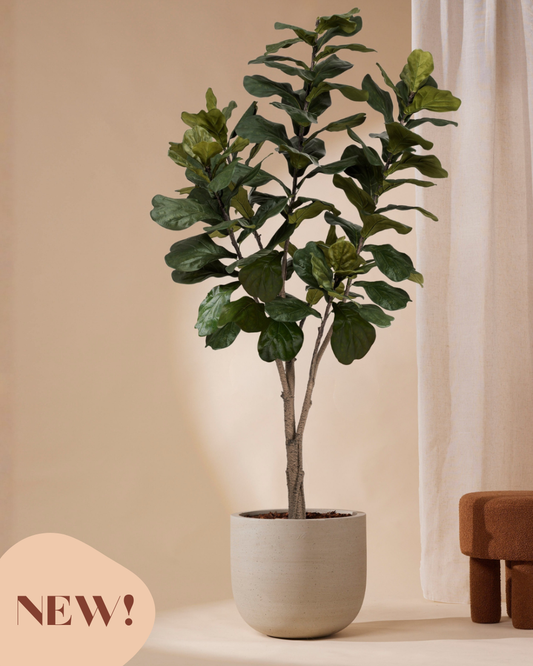 Kunstpflanze Ficus lyrata 210 cm