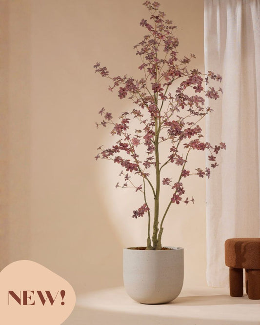 Kunstboom Tropaeolum Burgundy 210 cm