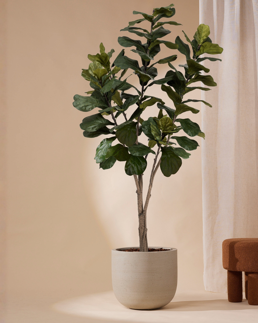 Kunstplant Ficus lyrata 210 cm