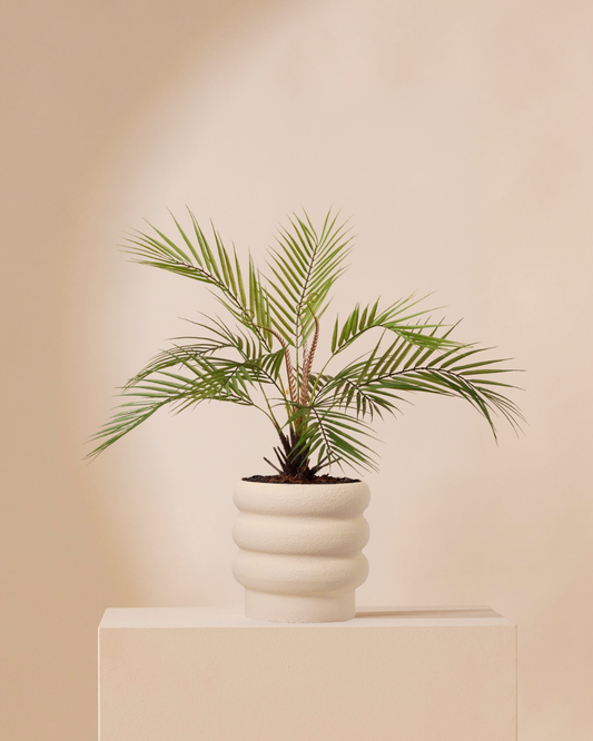 Kunstpflanze Palm chamaedora 50 cm