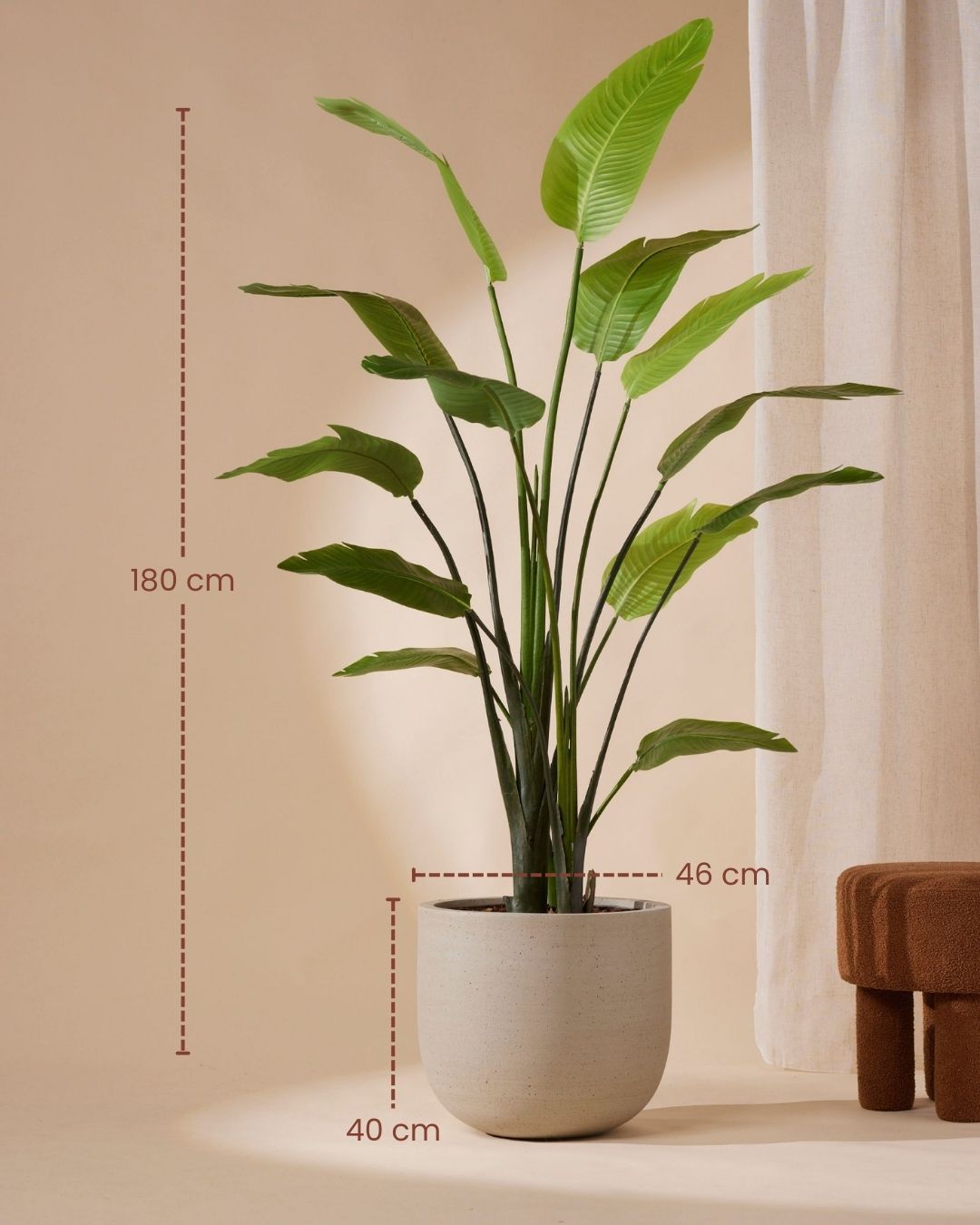 Kunstpflanze Strelitzia nicolai 180 cm – vervollständigen Sie Ihren magischen urbanen Dschungel – RHODÉ