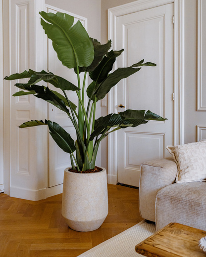Kunstplant Strelitzia Deluxe 170 cm