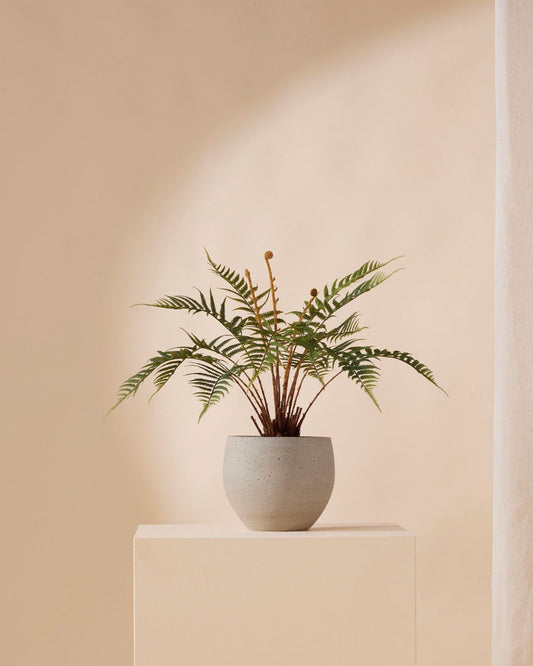 Kunstpflanze Farn dicksonia 60 cm