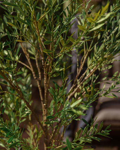 Kunstbaum Olive Outdoor 175 cm