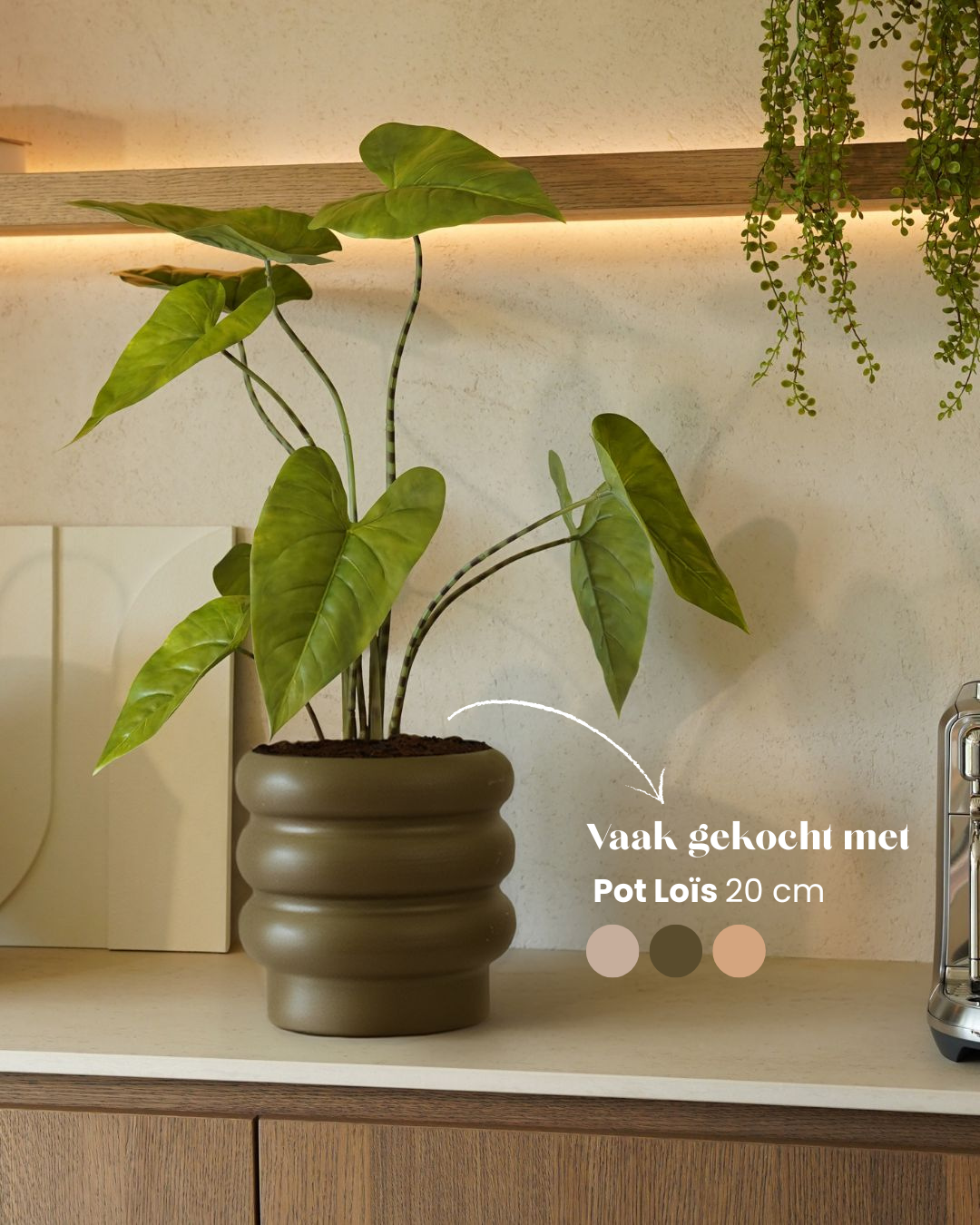 Kunstpflanze Alocasia zebrina 75 cm