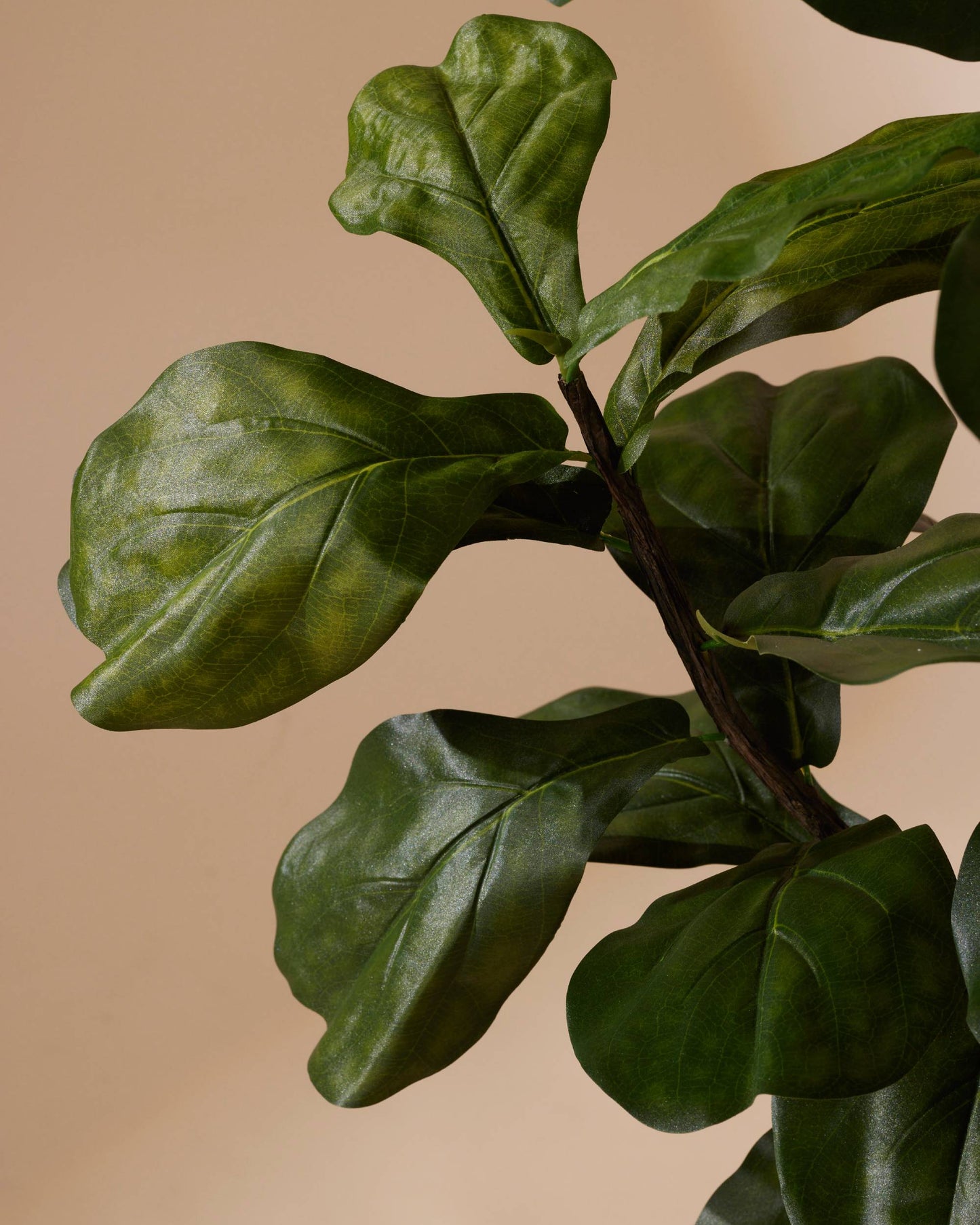 Kunstplant Ficus lyrata 210 cm