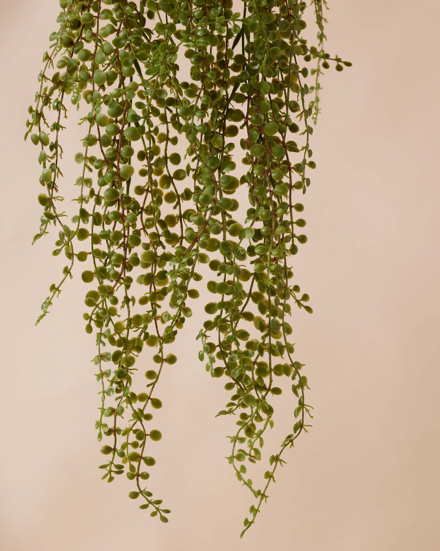 Kunstplant Ficus pumila 50 cm in pot - RHODÉ