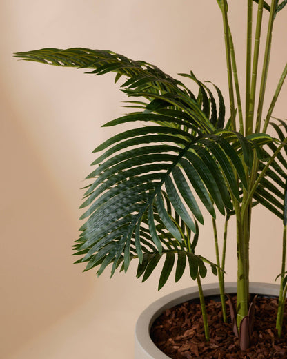 Kunstplant Palm 160 cm - RHODÉ