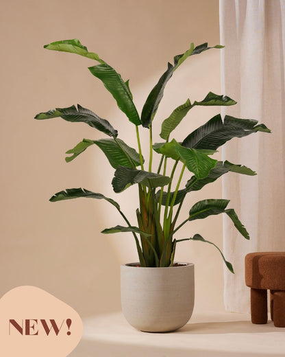 Kunstpflanze Strelitzia Deluxe 170 cm