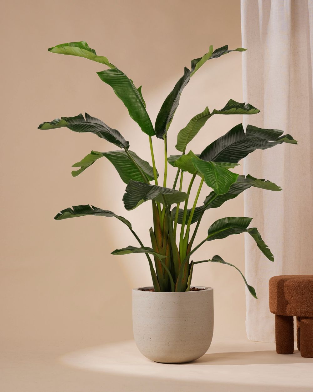 Kunstpflanze Strelitzia Deluxe 170 cm
