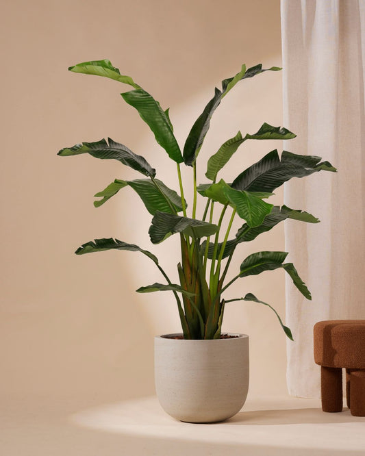 Kunstpflanze Strelitzia Deluxe 170 cm