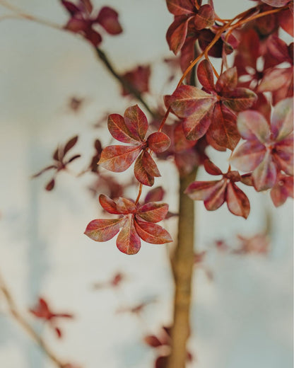 Kunstbaum Tropaeolum Burgundy 210 cm