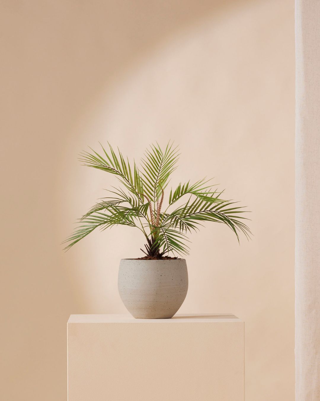 Kunstpflanze Palm chamaedora 50 cm