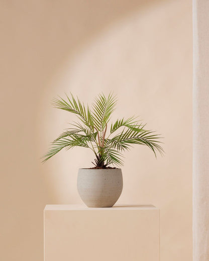 Kunstpflanze Palm chamaedora 50 cm