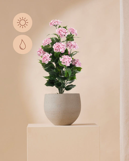 Hortensie rosa Outdoor 90 cm