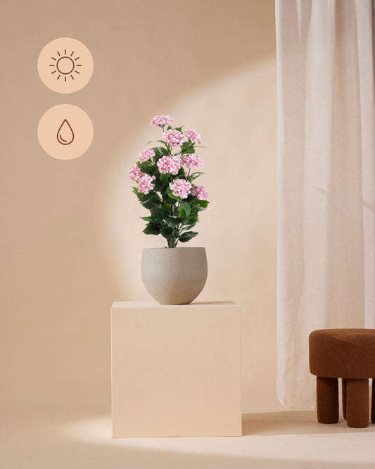 Hortensie rosa Outdoor 90 cm