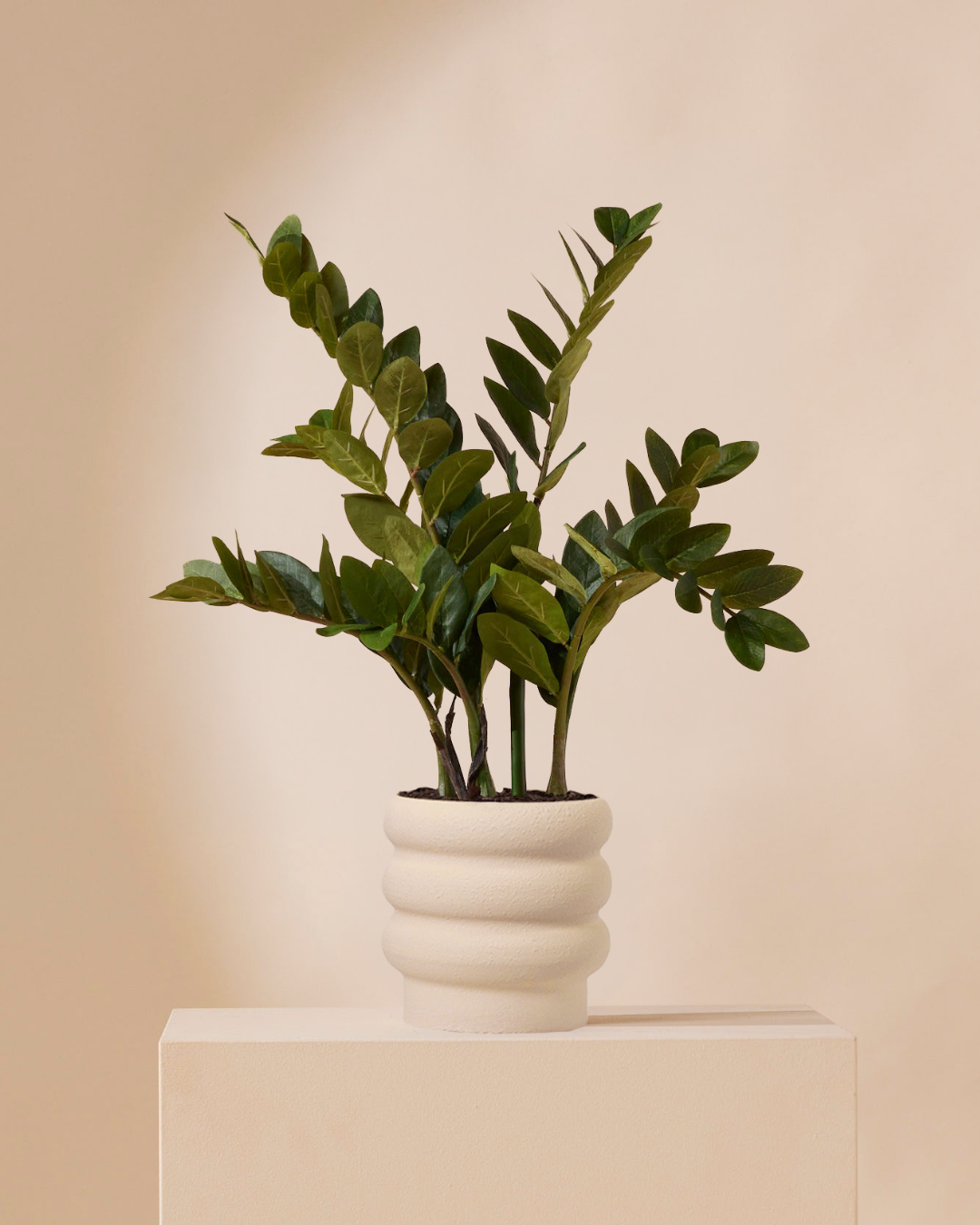 Kunstpflanze Zamioculcas 70 cm