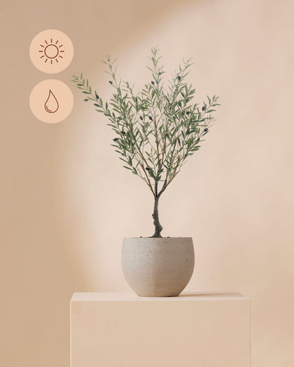Kunstpflanze Olive Outdoor 90 cm