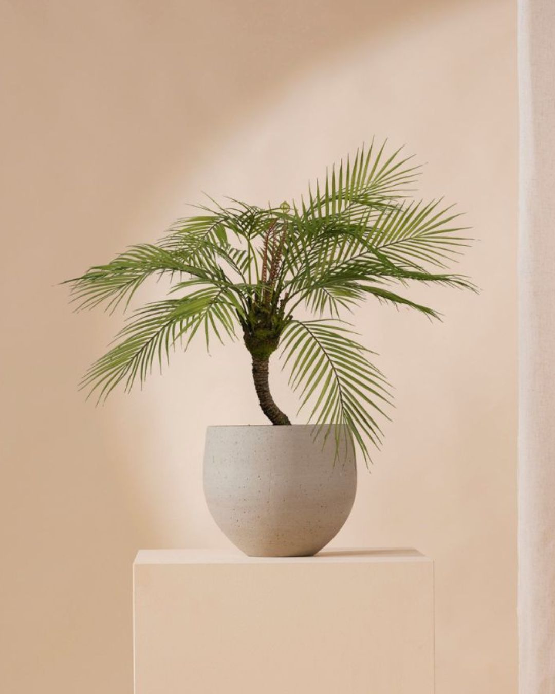 Künstliche Palme chamaedorea 85 cm
