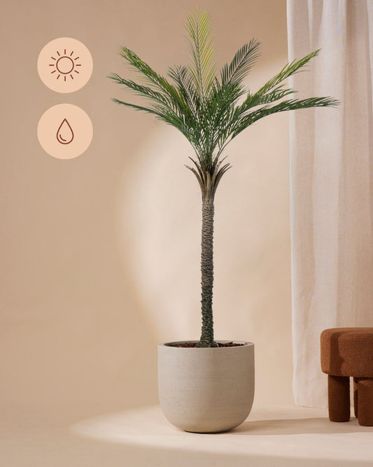 Kunstpflanze Palme Outdoor 180 cm