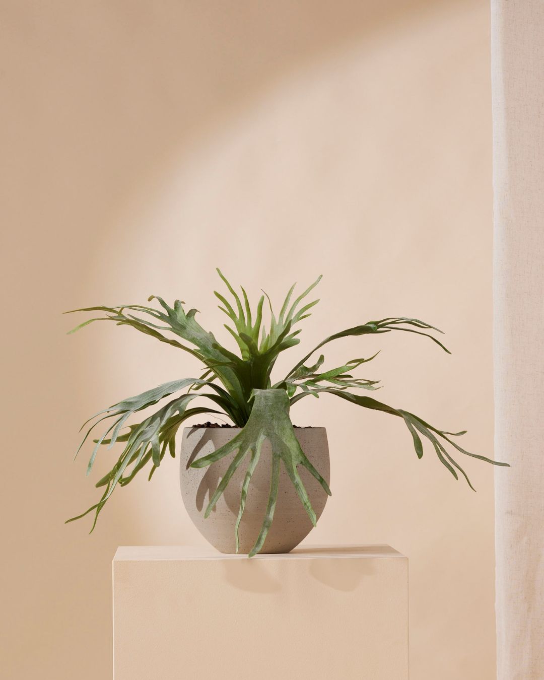 Kunstpflanze Hirschhornfarn 60 cm